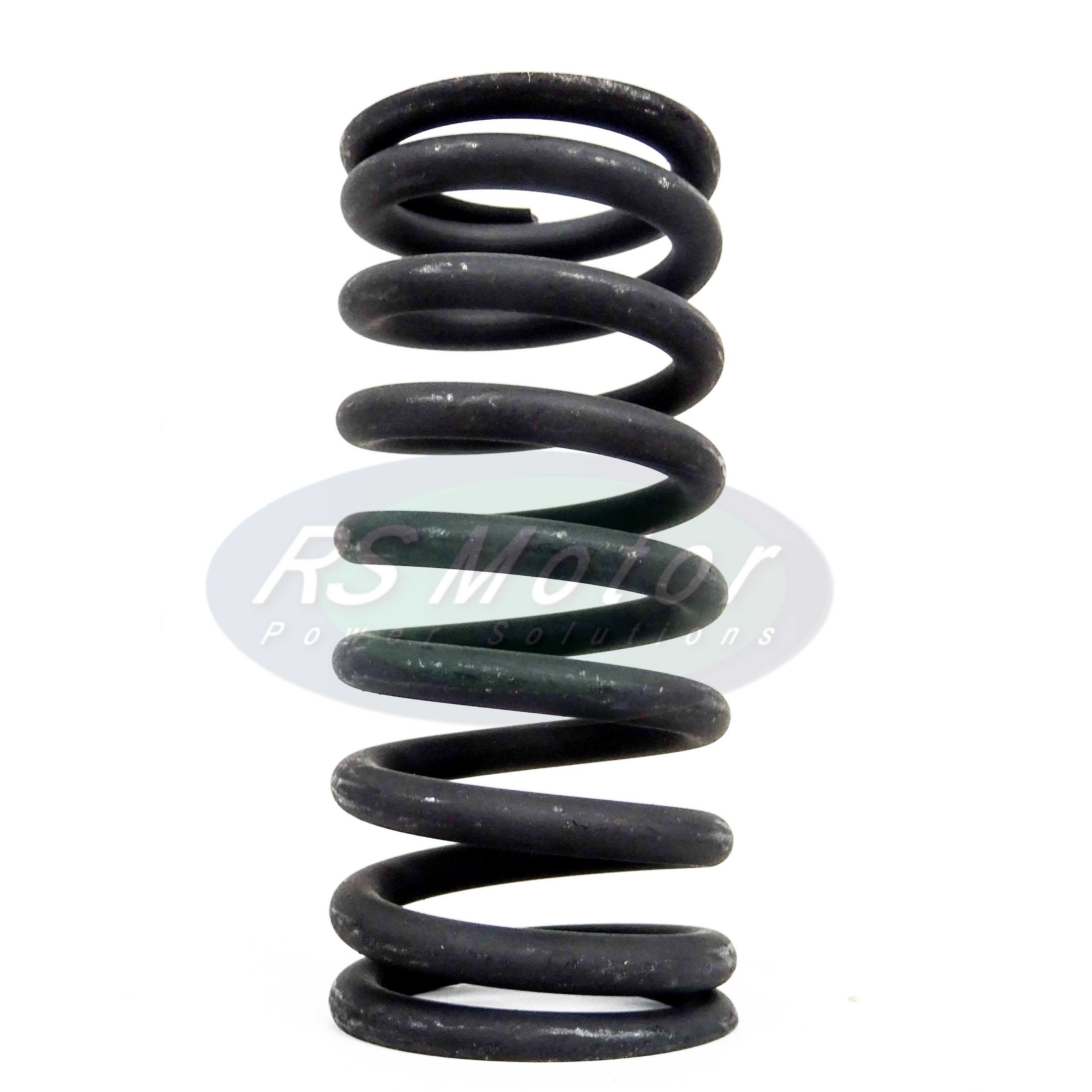 VALVE SPRING - MWM - RS 12280125 - ENGINES