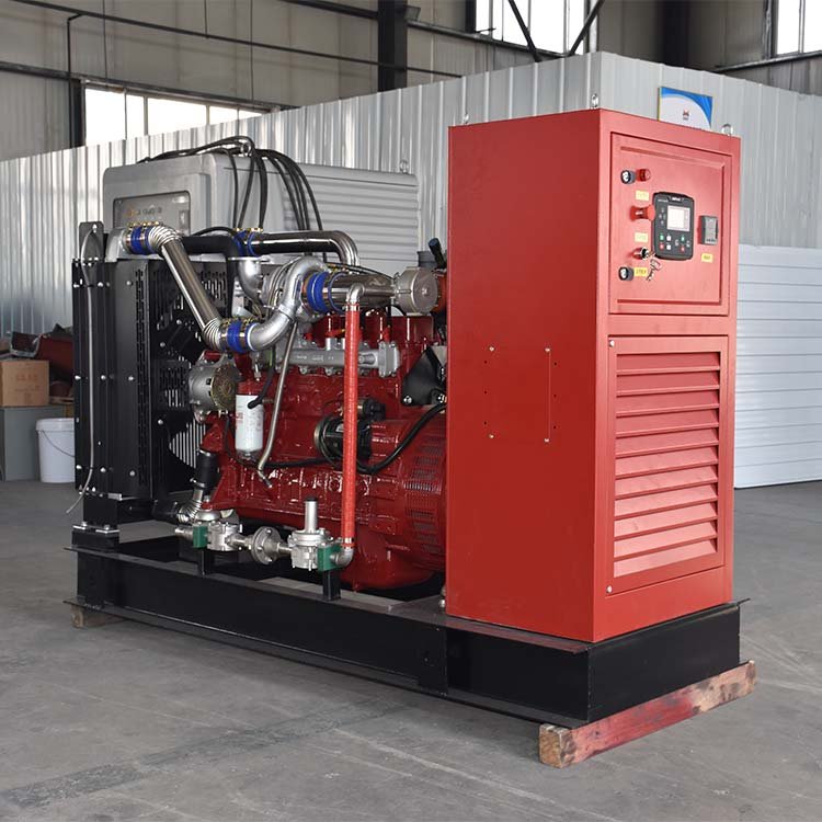 80KW stable operation liquefied petroleum gas generator set with silent canopy