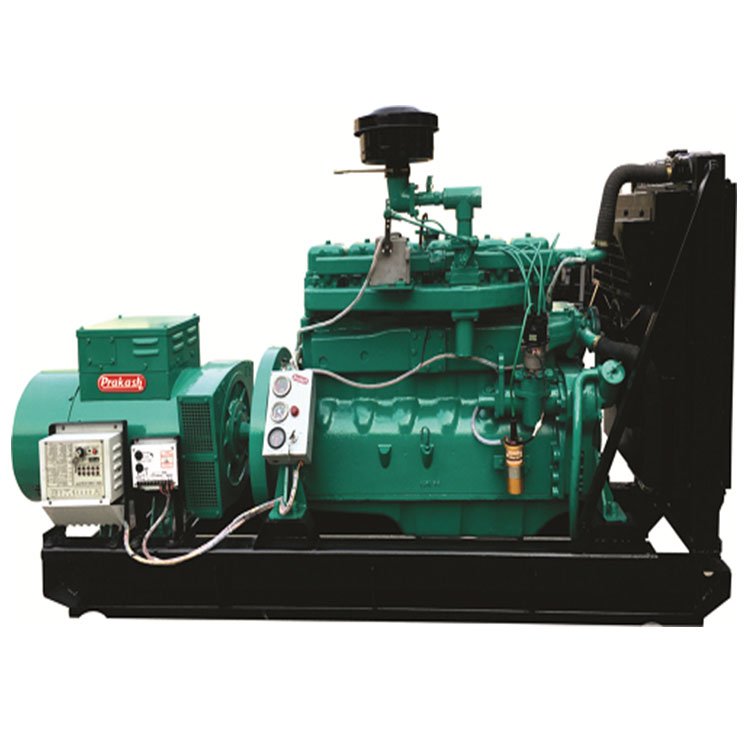 customized 5kw biogas generator for industrial use