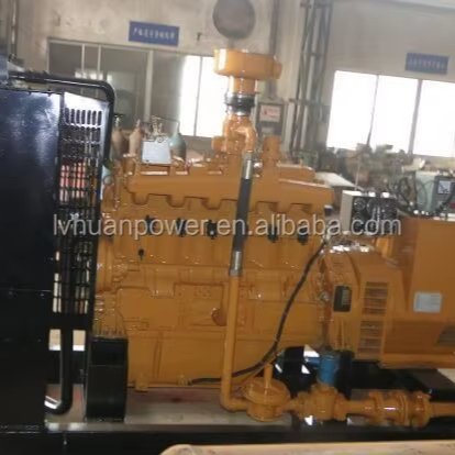 CE ISO Certified 100kw Biogas generator set in best price