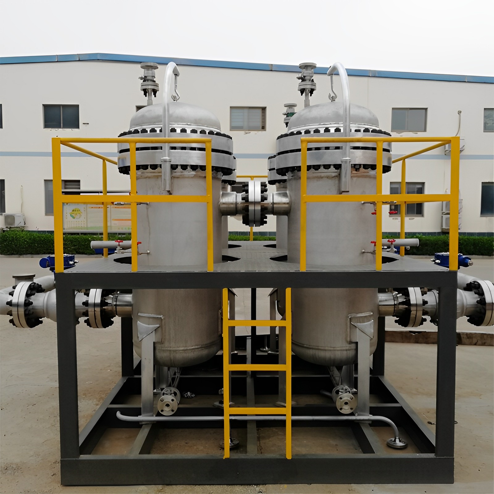 Professional Manufacturer Biogas Filter Biogas Purifier Biogas Steam Water Separator
