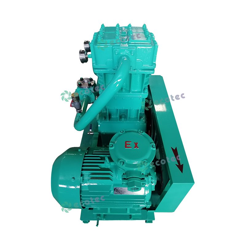 Ecotec High Quality Lpg Compressor, Biogas Compressor Petroleum Gas Compressor