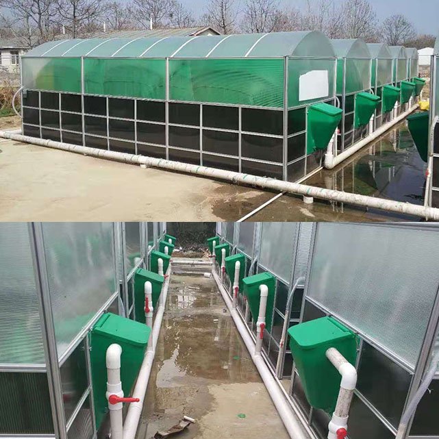 Cost-effective household solar biogas digester