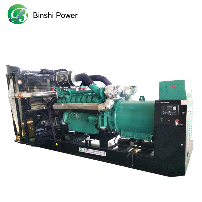 Portable Silent Cogeneration Gasturbine LP Gas Generator Small Biogas Plant LPG CHP Methane Biomass Bio Propane Factory Price