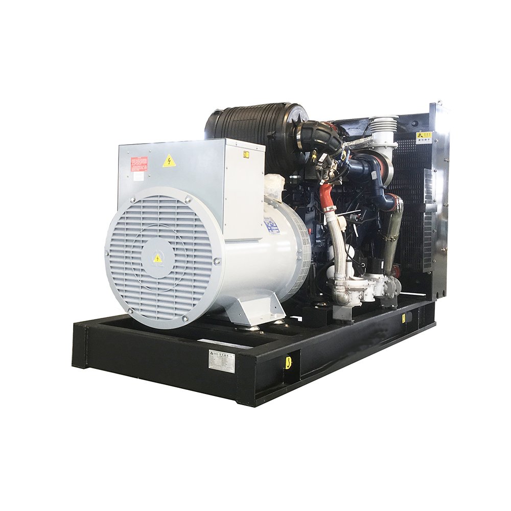 Cooking Food Waste Wood Fired Green Power Syngas Electrical Equipment Methane CHP Biogas Generator