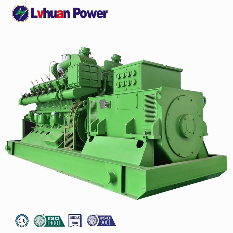 1mw-5mw output 50/60HZ Biogas generator set High-power bio genset