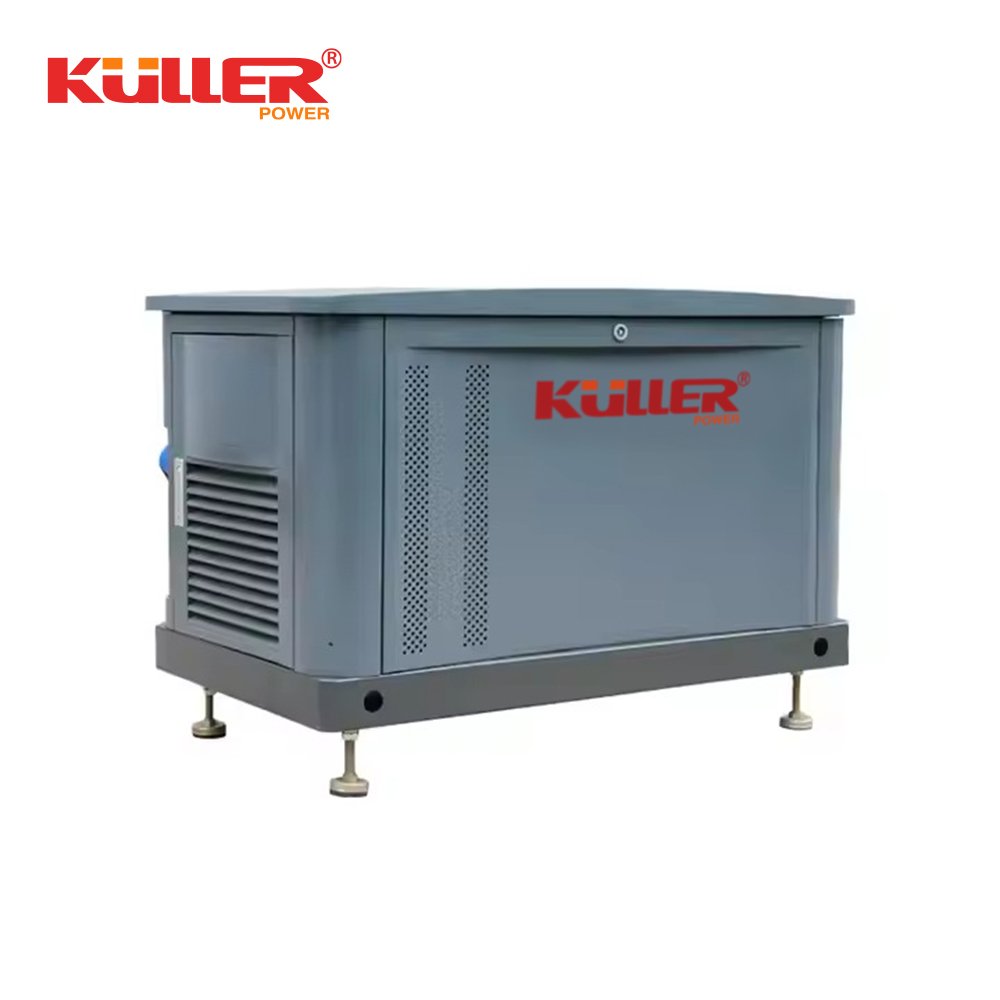 5.5kw 6kw 230v 400v 20kva 25kva 36kva 20kw 22kw 23kw 300kva lpg generating factori