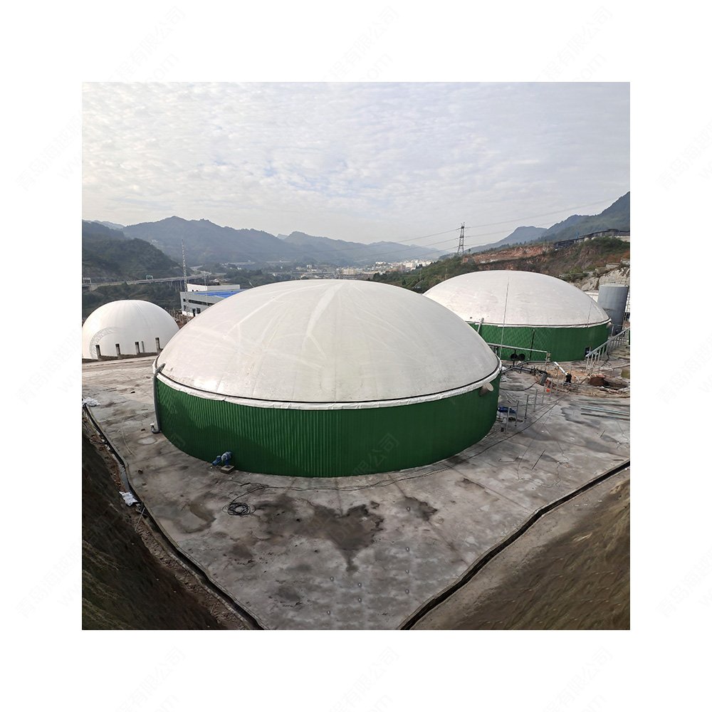 Wholesale Biogas project equipment set plastic biogas septic tank with fermentation storage and utilization