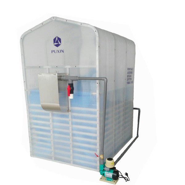 New Energy Biogas Puxin Professional Biogas Digester System Project