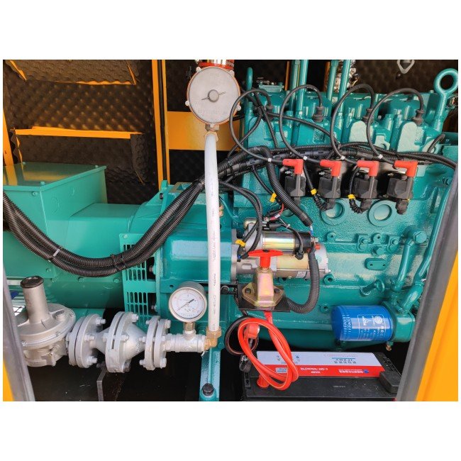Wood Pellet Electric Generator Factory Price 30kw 40kw 50kw Deutz Engine Natural Gas Biomass Biogas LPG Gas Electric Generator