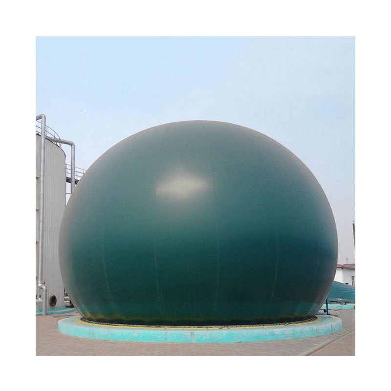 cow manure biogas project complete equipments manufacturer