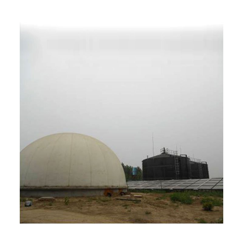 cow manure biogas project complete equipments manufacturer