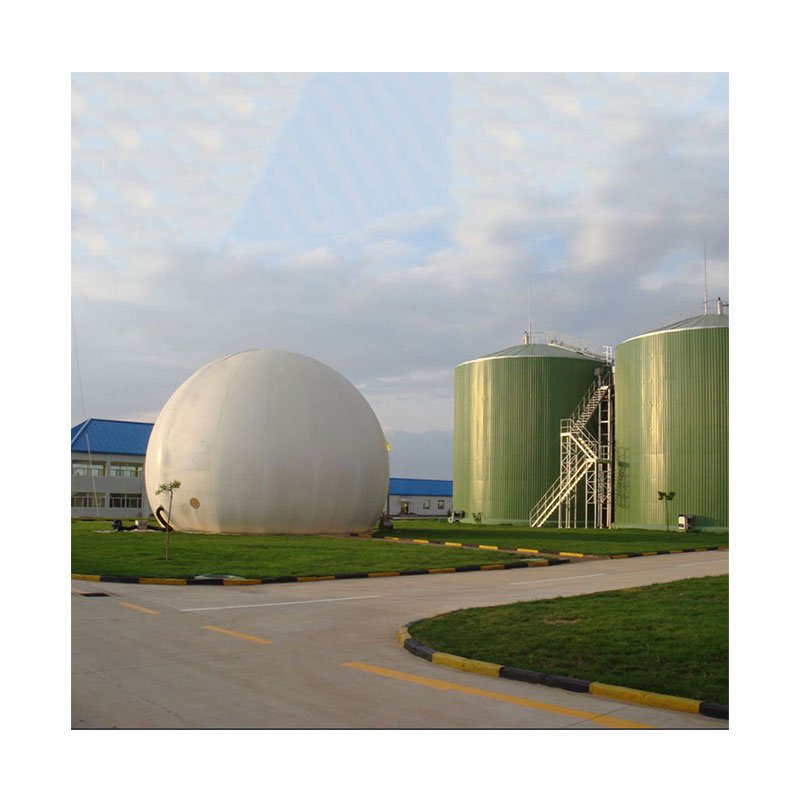 cow manure biogas project complete equipments manufacturer