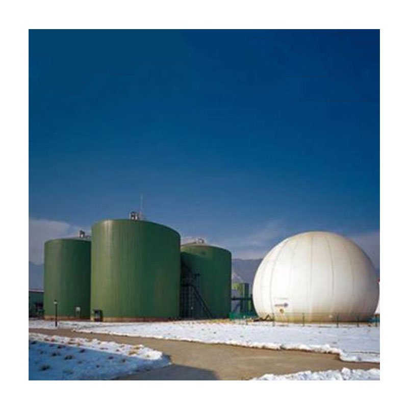 cow manure biogas project complete equipments manufacturer