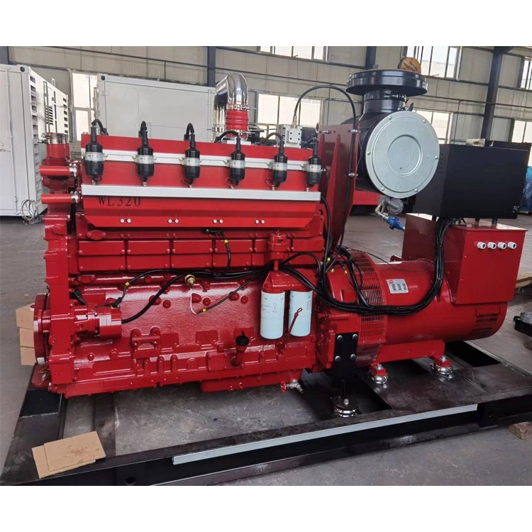 New Product 300kW Natural Gas Powered Generators 300kW Biogas Generator Price Generator LPG