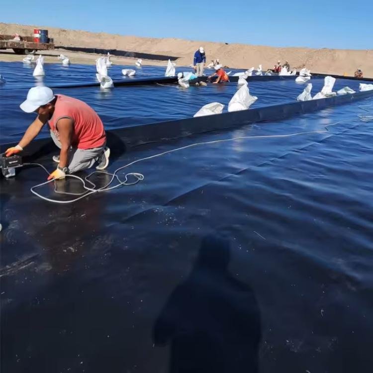 High Sales Waterproof HDPE Geomembrane Industrial PE Outdoor Farming Projects Aquaculture Dams Landfills Mining Pond Liner
