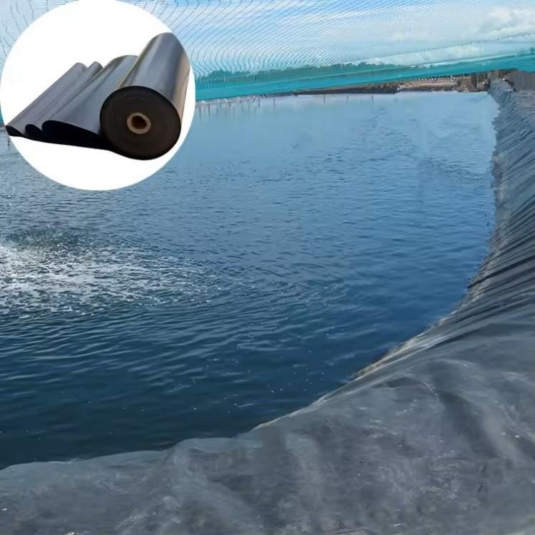 High Sales Waterproof HDPE Geomembrane Industrial PE Outdoor Farming Projects Aquaculture Dams Landfills Mining Pond Liner