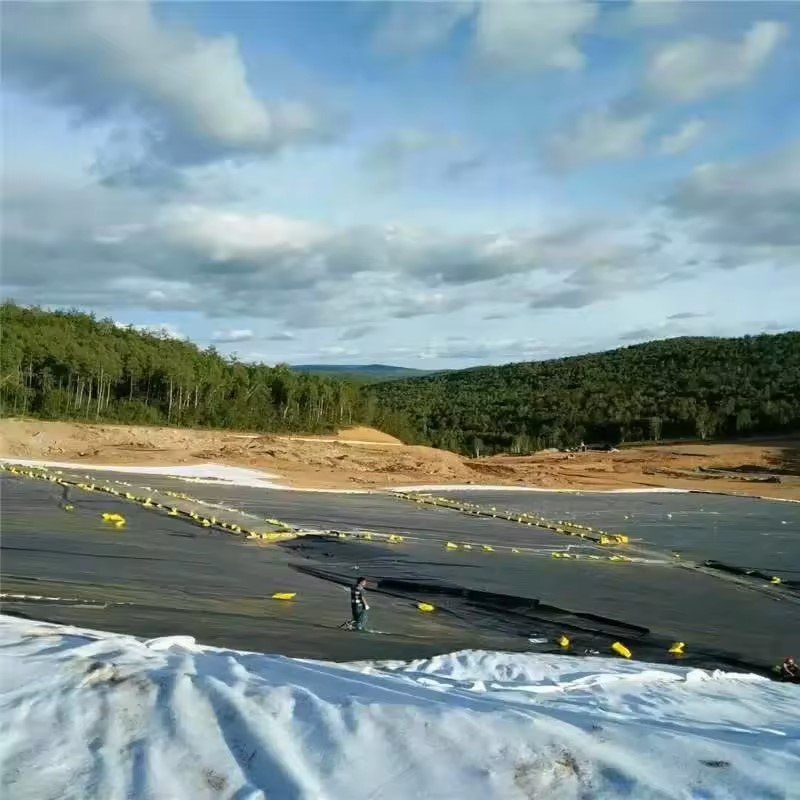 High Sales Waterproof HDPE Geomembrane Industrial PE Outdoor Farming Projects Aquaculture Dams Landfills Mining Pond Liner