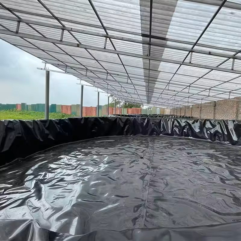 High Sales Waterproof HDPE Geomembrane Industrial PE Outdoor Farming Projects Aquaculture Dams Landfills Mining Pond Liner