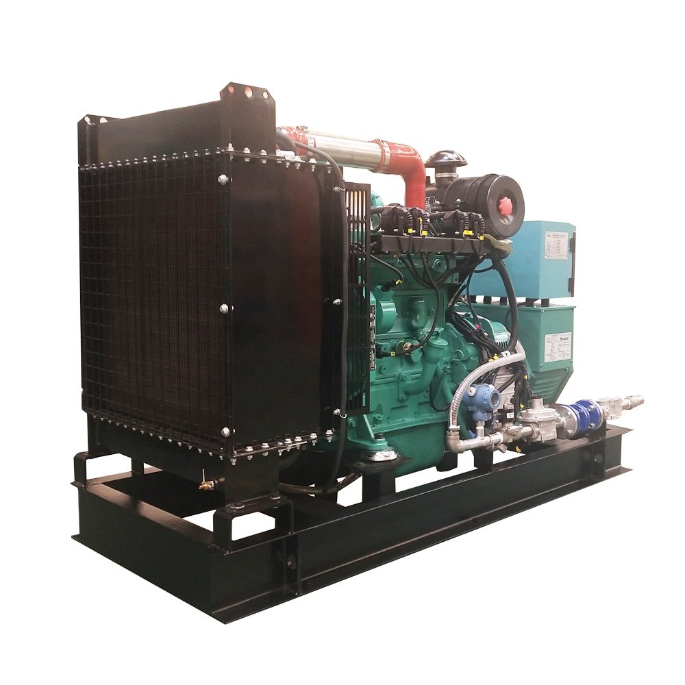 CE & ISO 40kW Biogas Generator Price 50kVA Biomass Methane Power Generator for Canana
