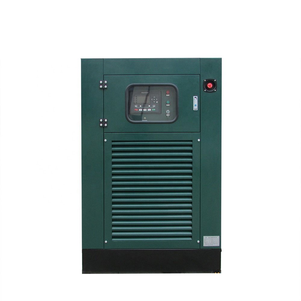 Hot Sale CHP 7kw 8kw 20kw 25kva 30kw 50kw methane gas engine power plant natural gas Biogas Generator with Cummins engine