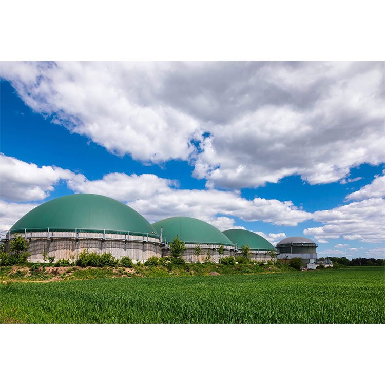1 mw generator pig farm biogas power plant