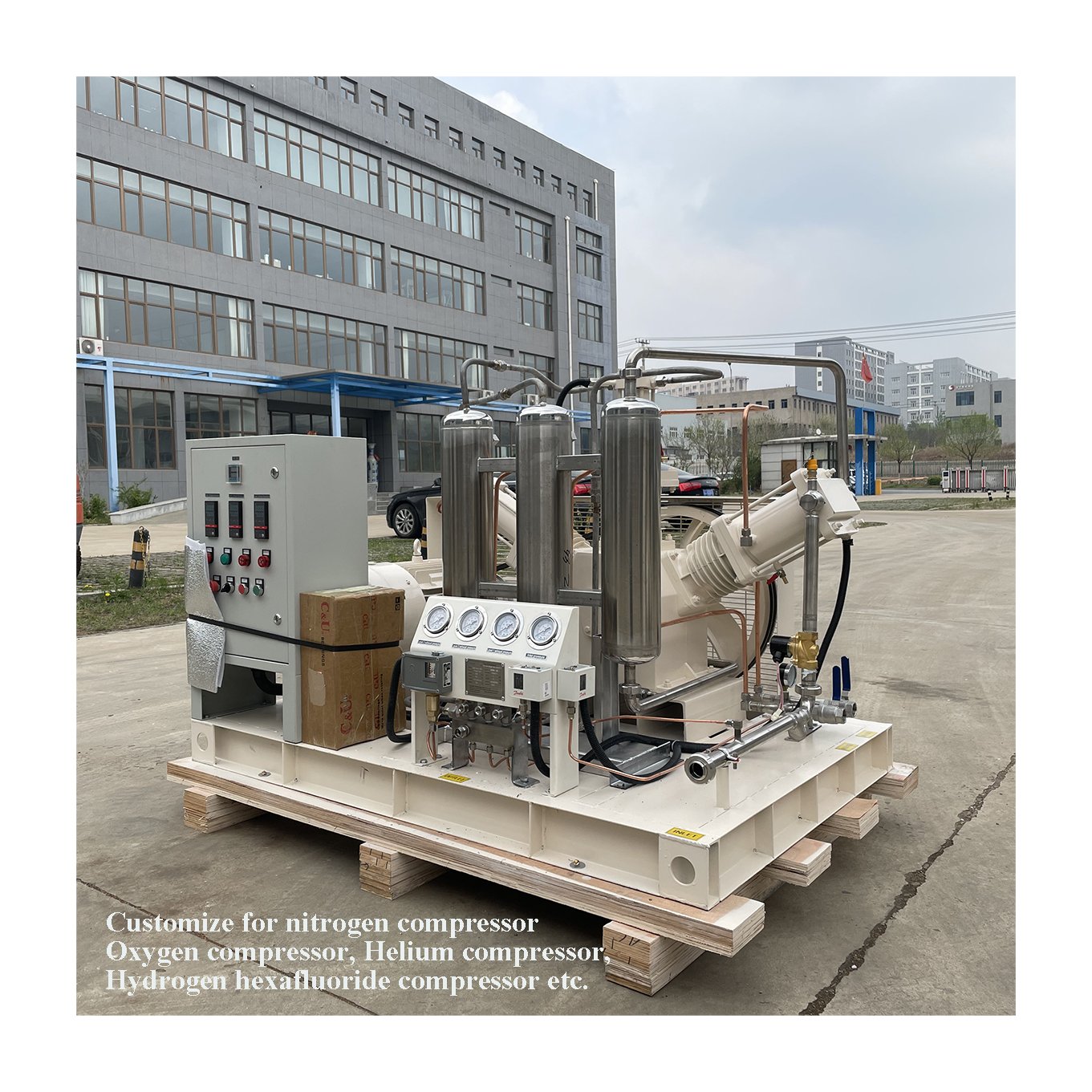 Chlorine Gas Booster Compressor CO2 Gas H2 Gas Compressor Piston Oil Free Air Compressor