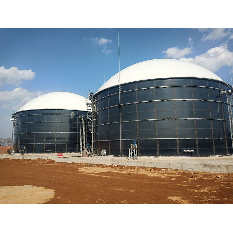 30mw biogas digester mini biogas digester biogas digester system