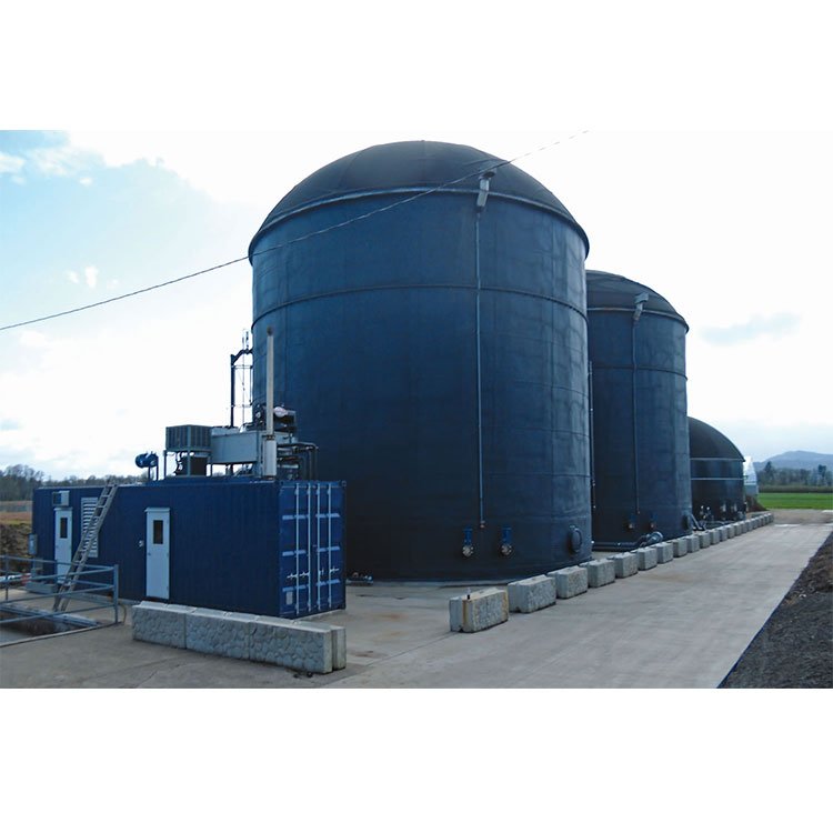 30mw biogas digester mini biogas digester biogas digester system