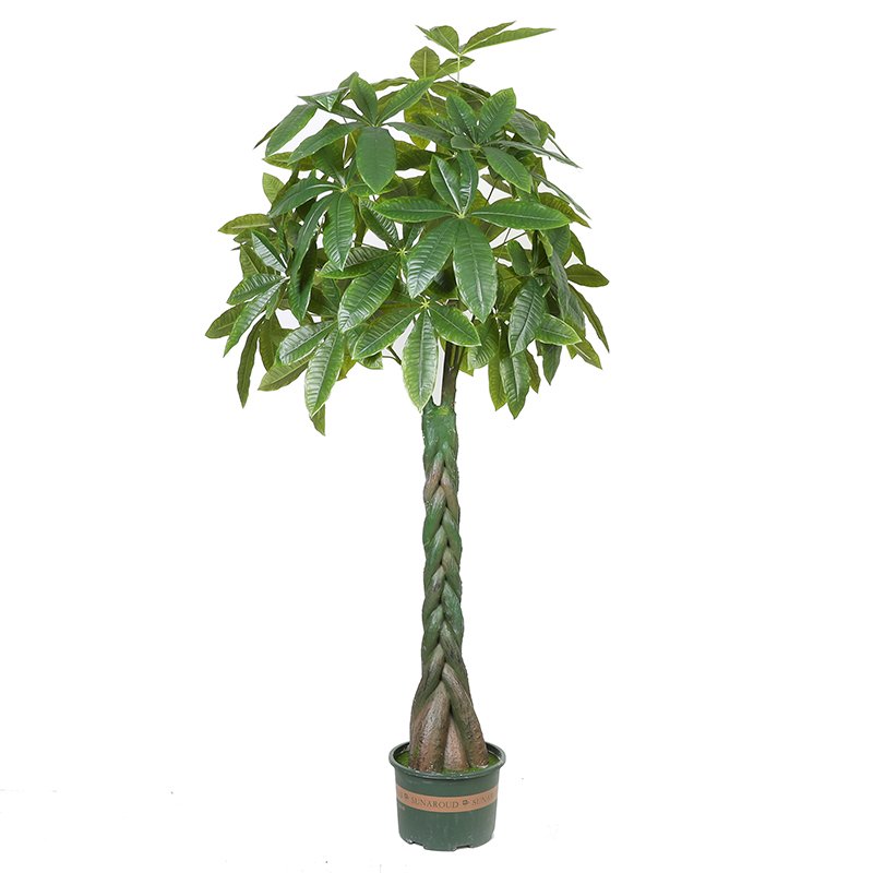 120 cm 4ft Wholesale Simulation Tree Artificial Aloe Artificial Plants for Home Decoration Hotel Office