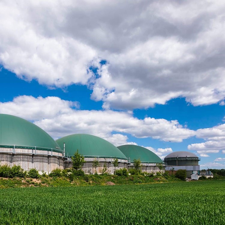 Newly Designed Biogas Purification For Biogas Generator