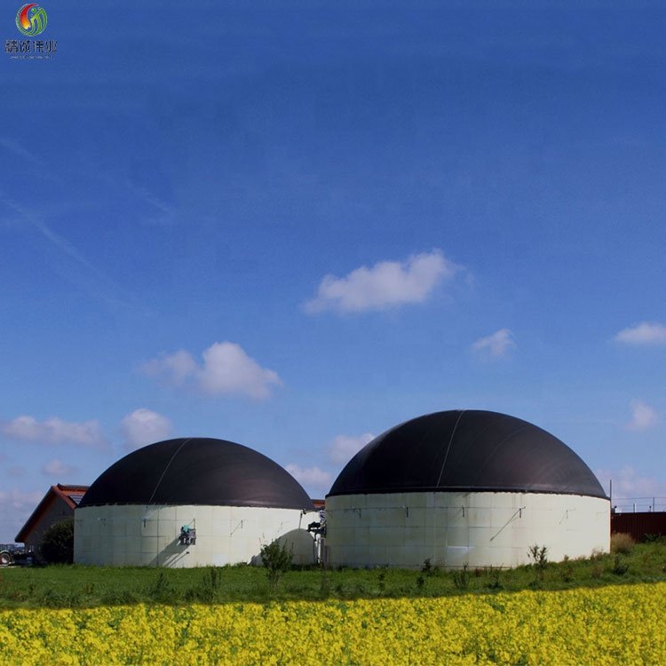 Newly Designed Biogas Purification For Biogas Generator
