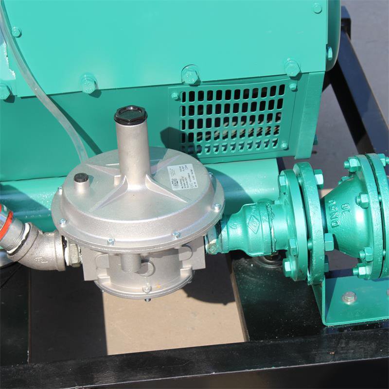 Customizable Brushless100kw Cogeneration Natural 3-phase Biogas Generator