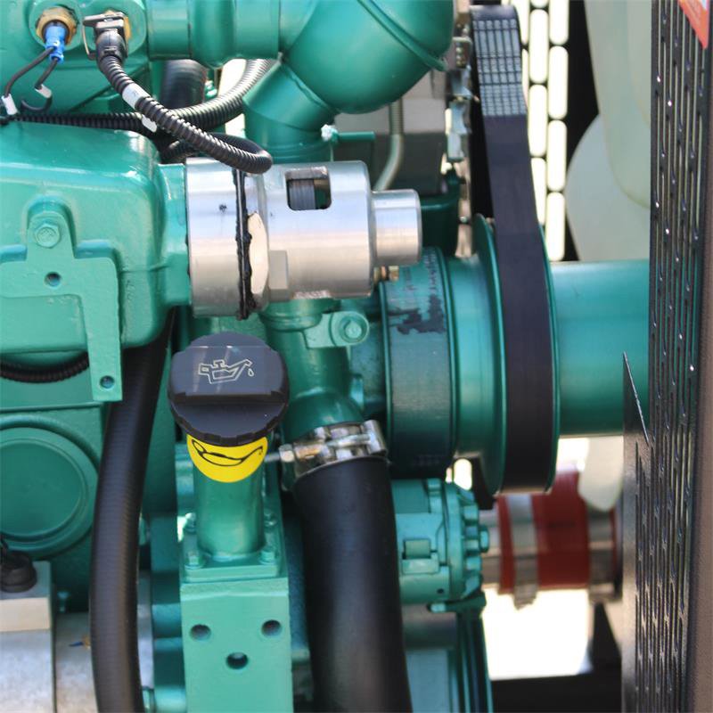 Customizable Brushless100kw Cogeneration Natural 3-phase Biogas Generator