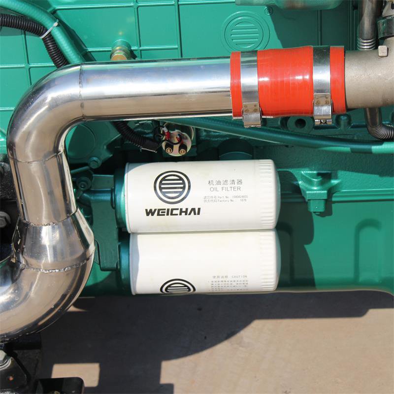 Customizable Brushless100kw Cogeneration Natural 3-phase Biogas Generator