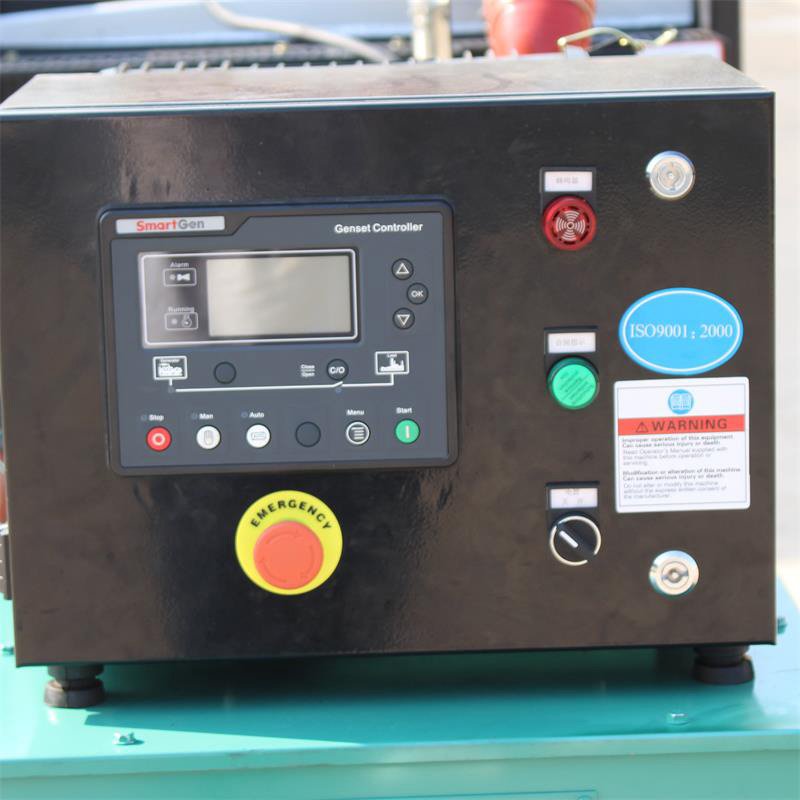 Customizable Brushless100kw Cogeneration Natural 3-phase Biogas Generator