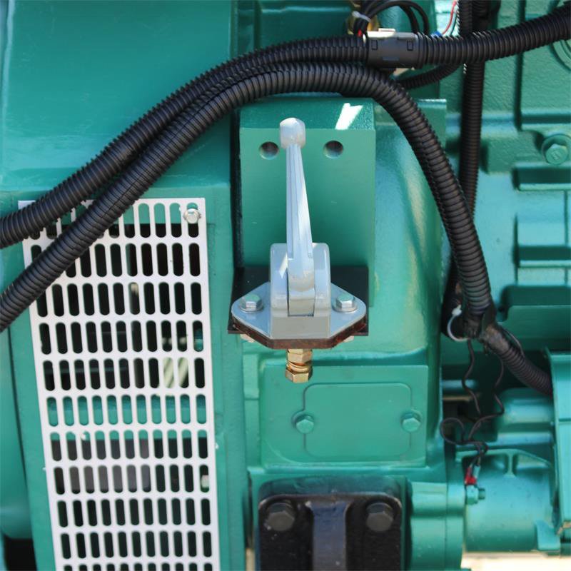 Customizable Brushless100kw Cogeneration Natural 3-phase Biogas Generator