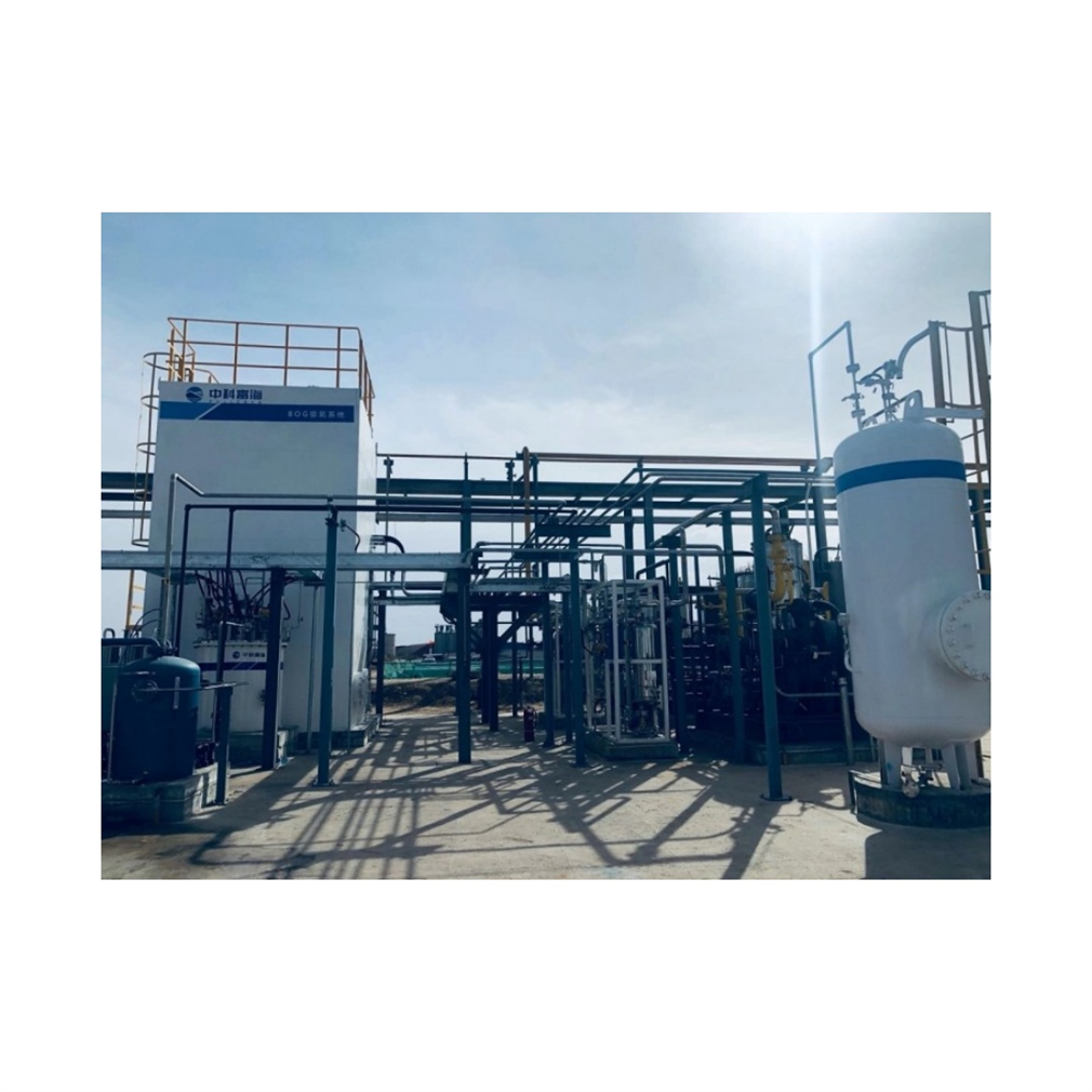 Top Choice Methane Gas Equipment 100Kva Easy Operation Membrane Separation Biogas Generator for Home Use