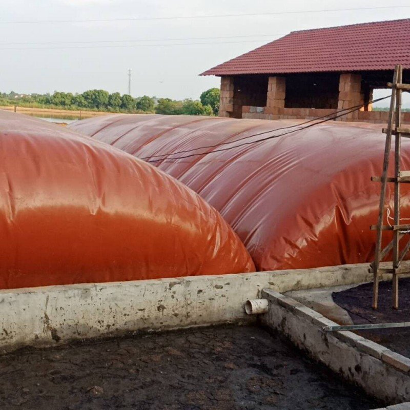 New Domestic PVC/TPU Water Storage Tank Portable Gas Storage Balloon Biogas Bag Biodigester Plant For Methane Gas