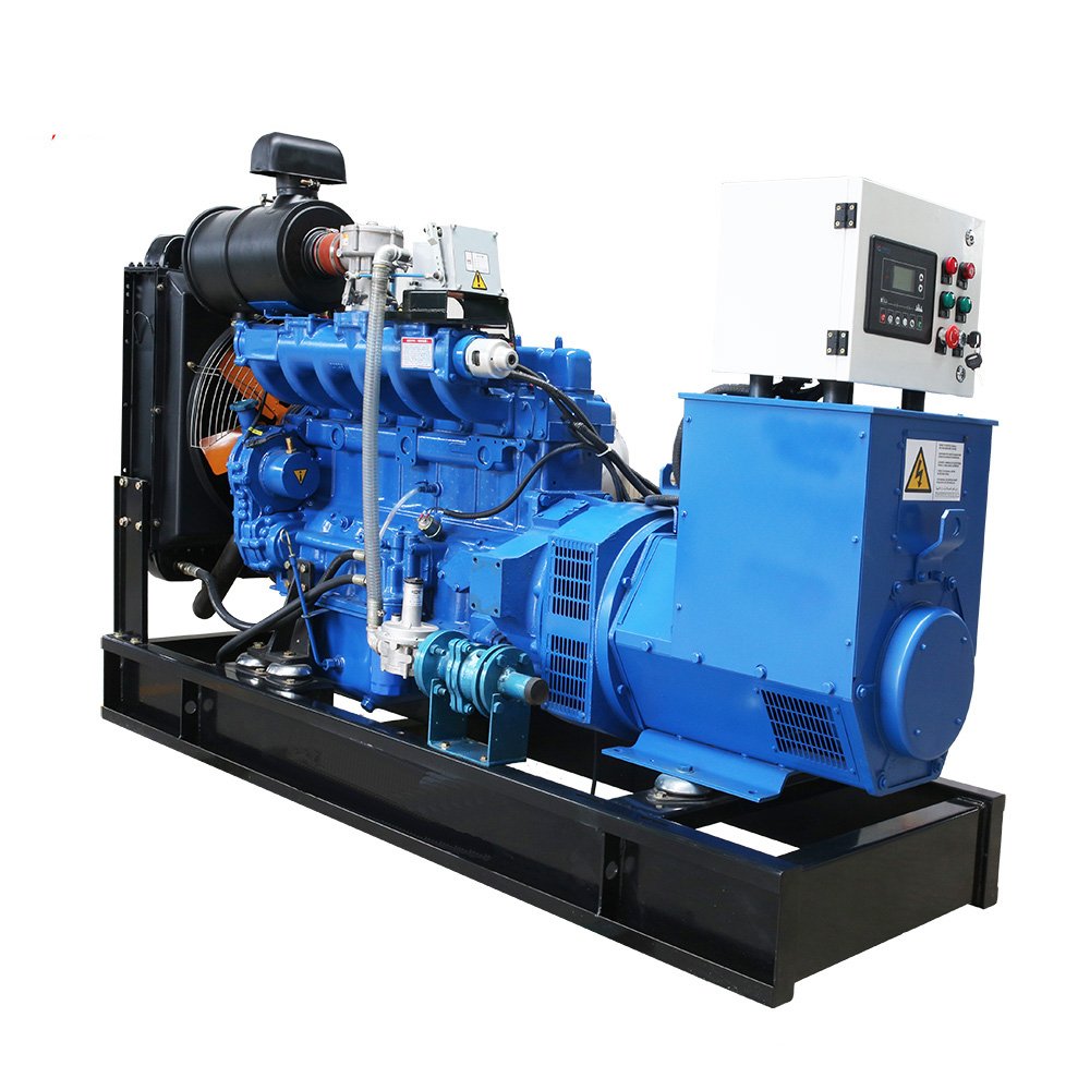 10Kw 20Kw 30Kw 40Kw 50Kw 100Kw 150Kw 200Kw 250Kw 300Kw 400Kw 500Kw 600Kw Natural Gas Generator Price by Cummins