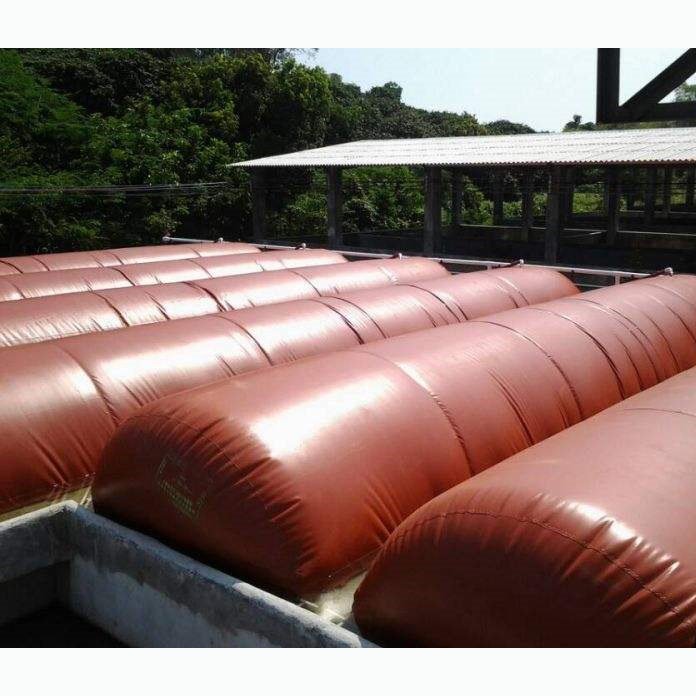 Small size gas storage balloon biogas bag biodigester system Haiyue