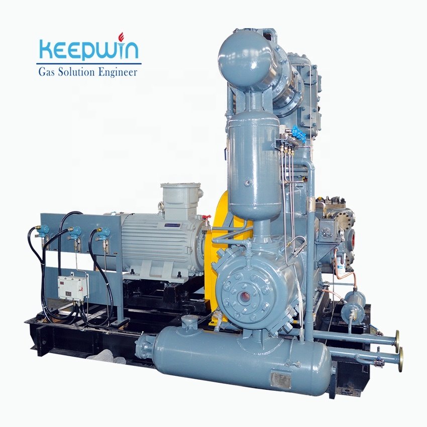 Special gas booster Compressor API Standard 618 Oil Free Reciprocating Fuel Gas Compressor small biogas compressor