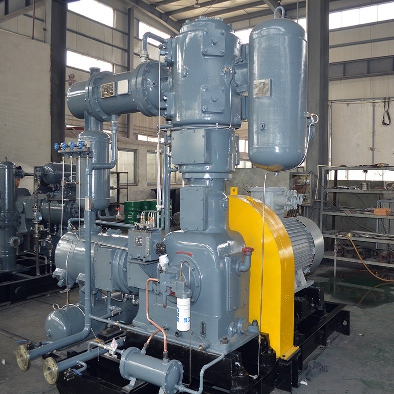 Special gas booster Compressor API Standard 618 Oil Free Reciprocating Fuel Gas Compressor small biogas compressor