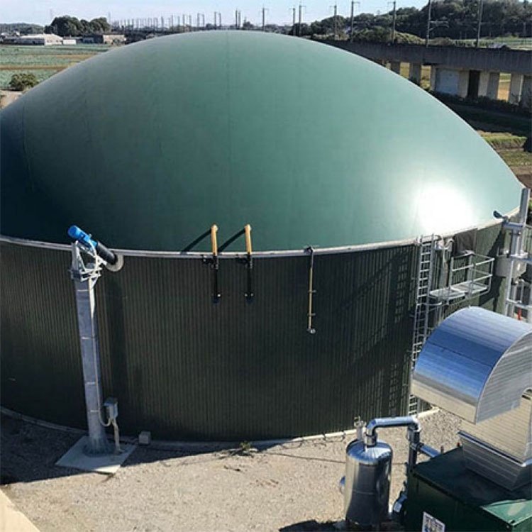 Agricultural Anaerobic Digesters Glass Lined Steel Biogas Digester Tanks