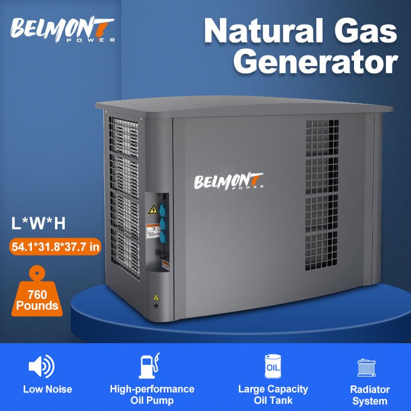 20kva 16kw 25kva 36kva 20kw 22kw 23kw EPA Certification Powered Inverter Electric Home lpg generator 10kw Natural Gas Generator