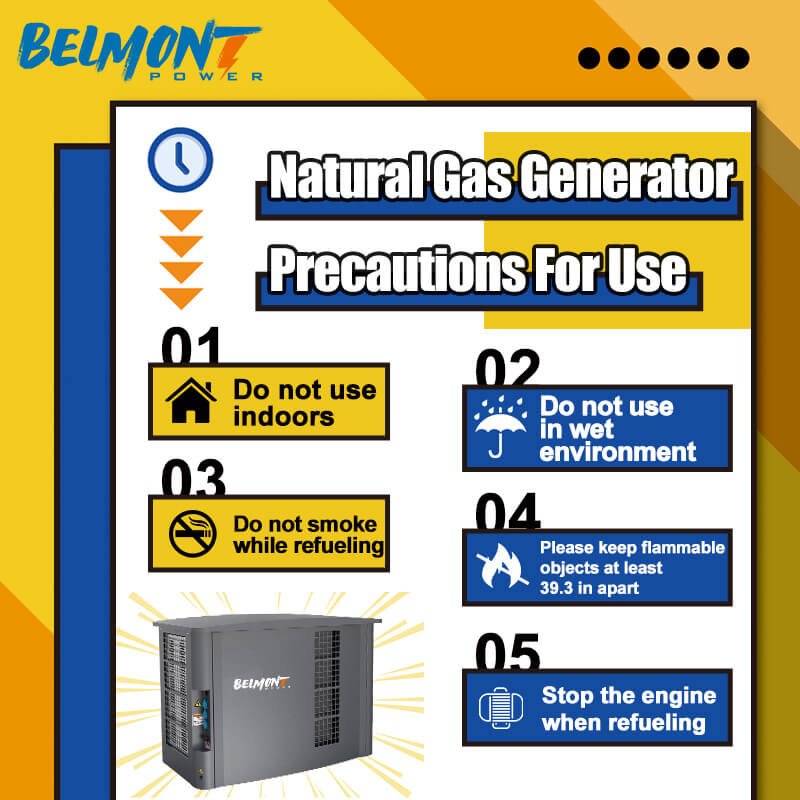 20kva 16kw 25kva 36kva 20kw 22kw 23kw EPA Certification Powered Inverter Electric Home lpg generator 10kw Natural Gas Generator