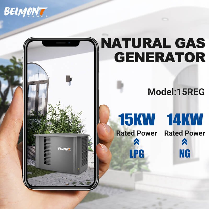 20kva 16kw 25kva 36kva 20kw 22kw 23kw EPA Certification Powered Inverter Electric Home lpg generator 10kw Natural Gas Generator