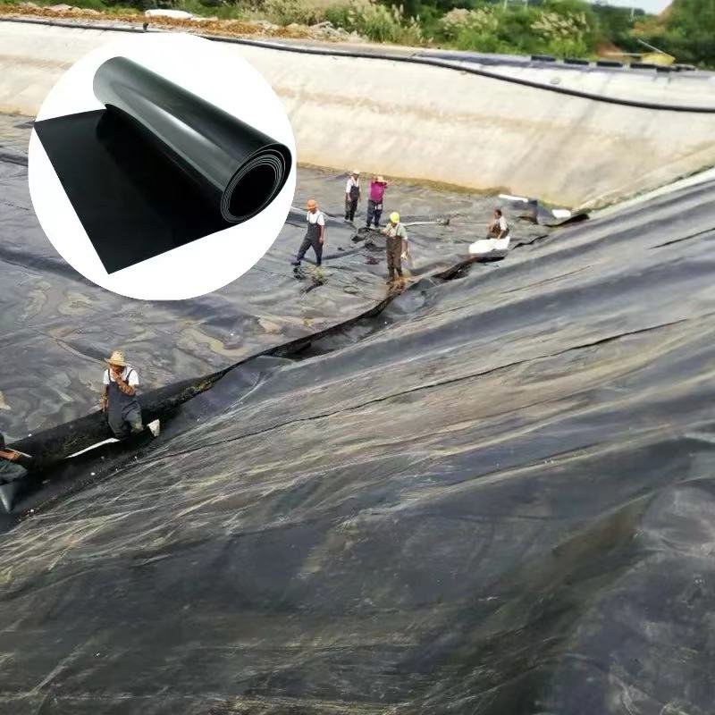 Convenient Construction of HDPE Geomembrane for Anti-Seepage Membrane Biogas Digester in Tailings Pond Landfill Site