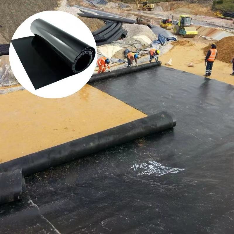 Convenient Construction of HDPE Geomembrane for Anti-Seepage Membrane Biogas Digester in Tailings Pond Landfill Site