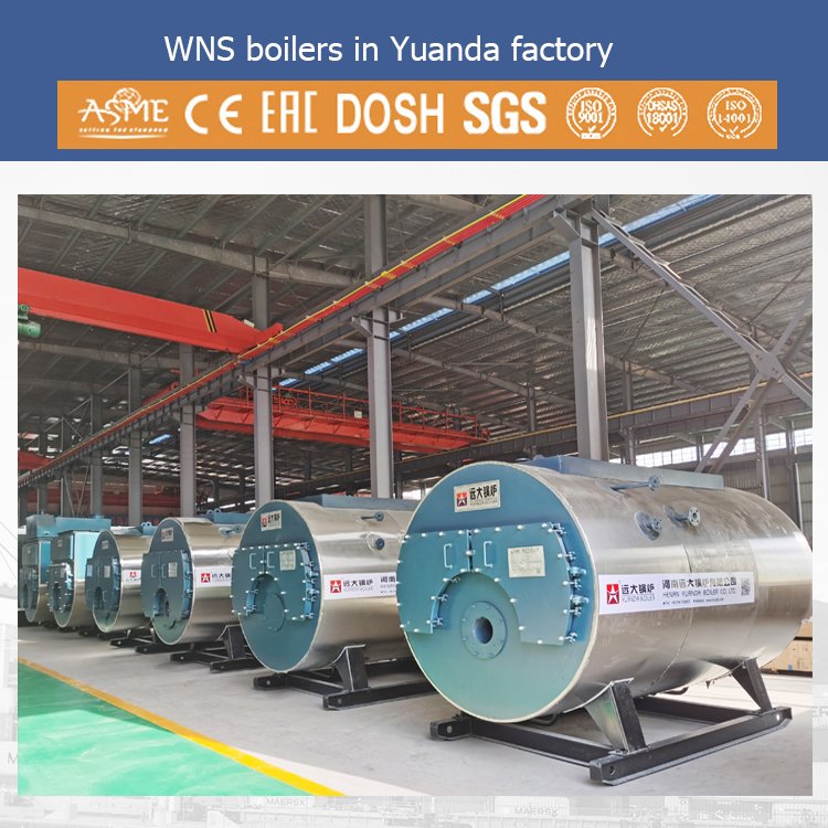 WNS 0.7MW 1.4MW 2.1MW 2.8MW 4.2MW 5.6MW 7MW 10.5MW 14MW Natural Gas Diesel Oil Biogas Fired Hot Water Boiler